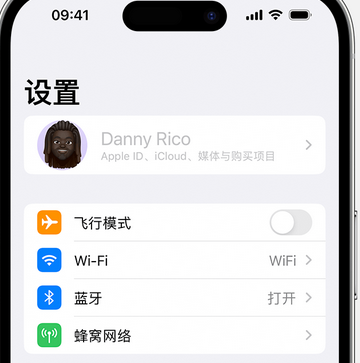 宿松appleID维修服务iPhone设置中Apple ID显示为灰色无法使用 