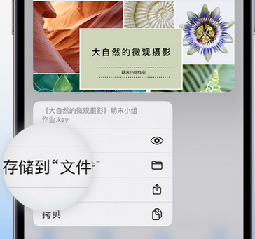 宿松apple维修中心分享iPhone文件应用中存储和找到下载文件