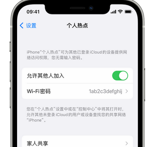 宿松apple服务站点分享iPhone上个人热点丢失了怎么办 