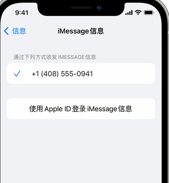 宿松apple维修iPhone上无法正常发送iMessage信息 