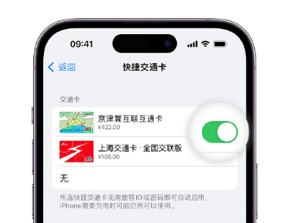 宿松apple维修点分享iPhone上更换Apple Pay快捷交通卡手绘卡面 