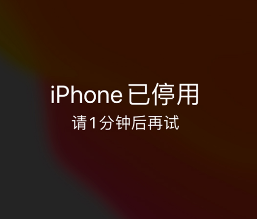 宿松苹果手机维修分享:iPhone 显示“不可用”或“已停用”怎么办？还能保留数据吗？ 