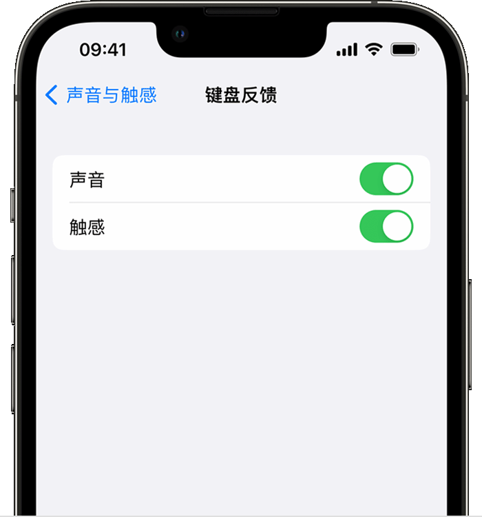 宿松苹果14维修店分享如何在 iPhone 14 机型中使用触感键盘 