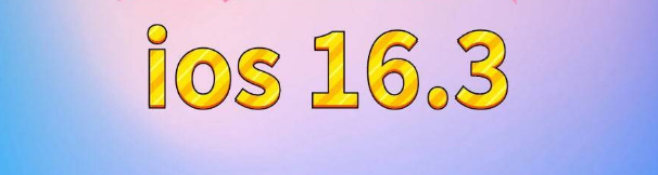 宿松苹果服务网点分享苹果iOS16.3升级反馈汇总 