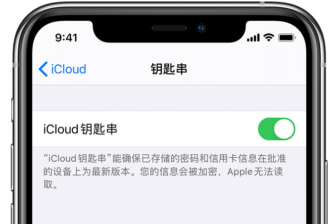 宿松苹果手机维修分享在 iPhone 上开启 iCloud 钥匙串之后会储存哪些信息 